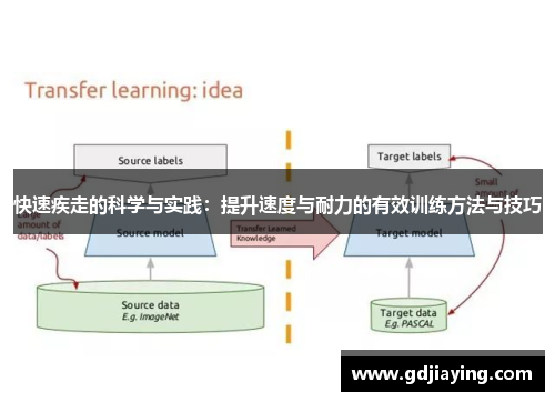 快速疾走的科学与实践：提升速度与耐力的有效训练方法与技巧